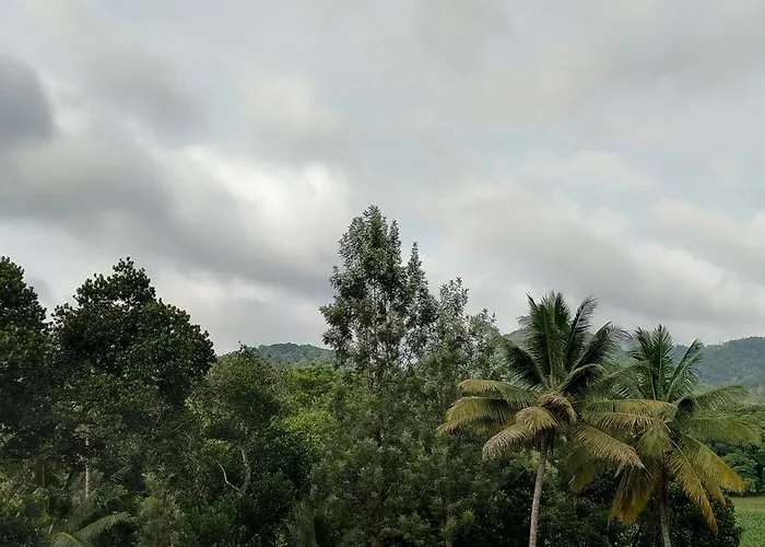 Floral Homestay