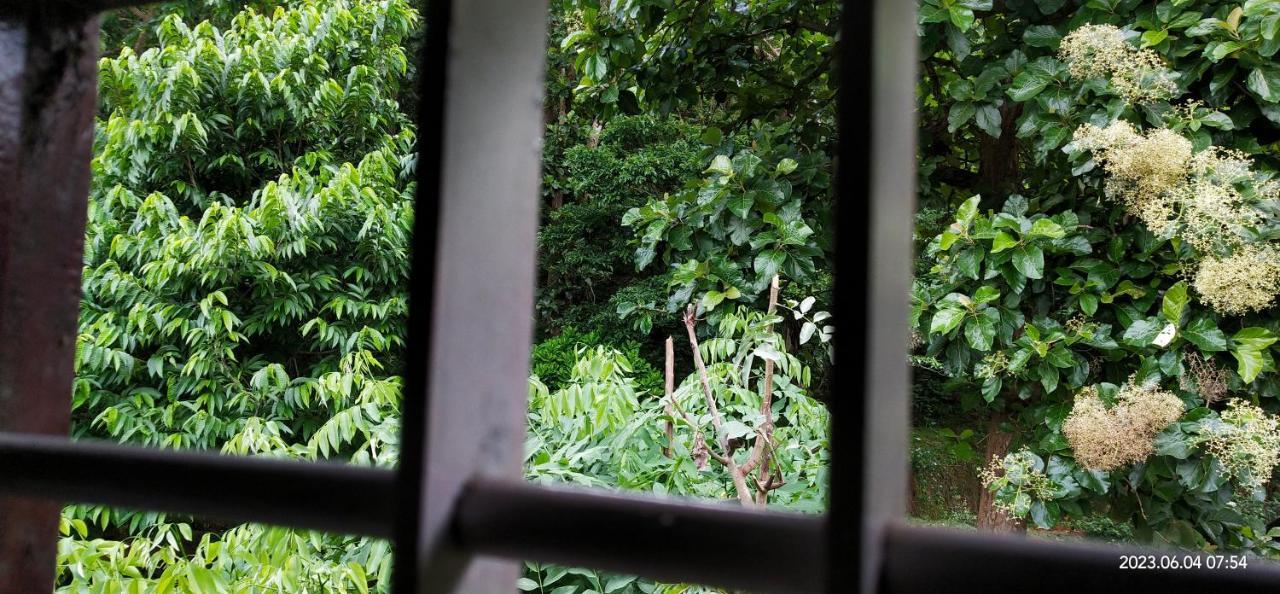 Floral Homestay