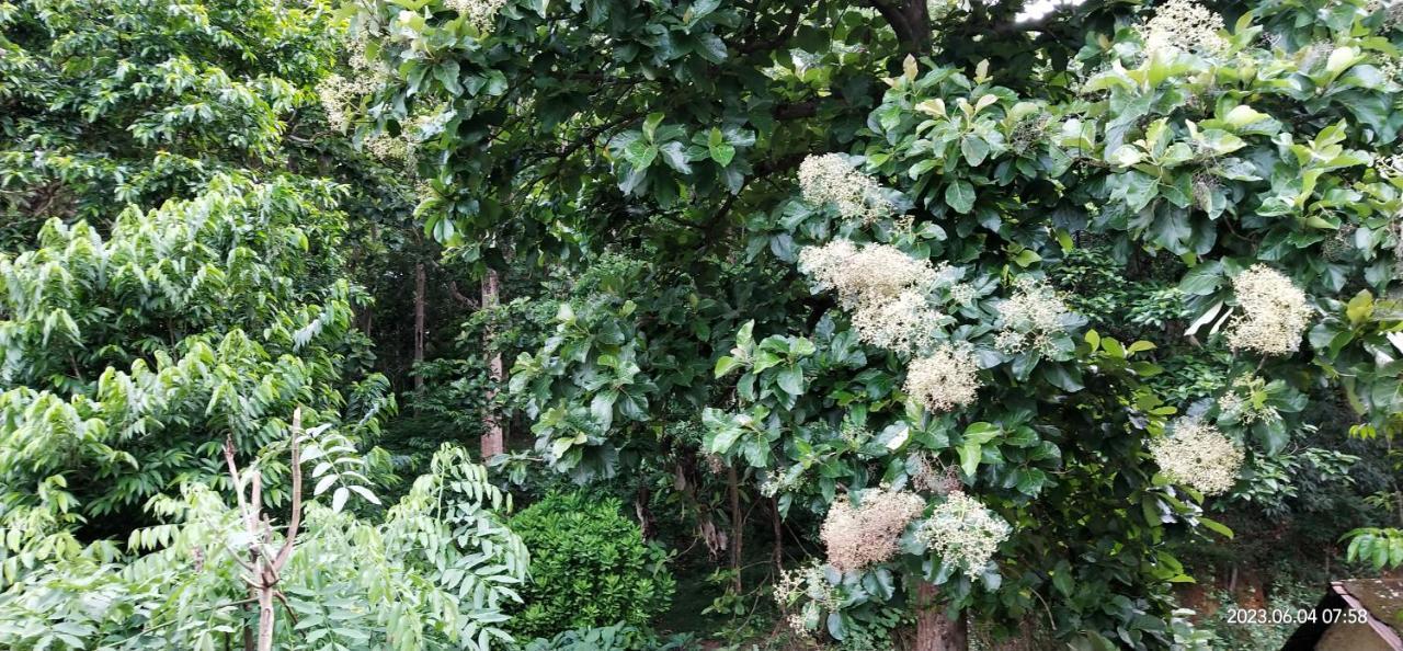 Floral Thekkady