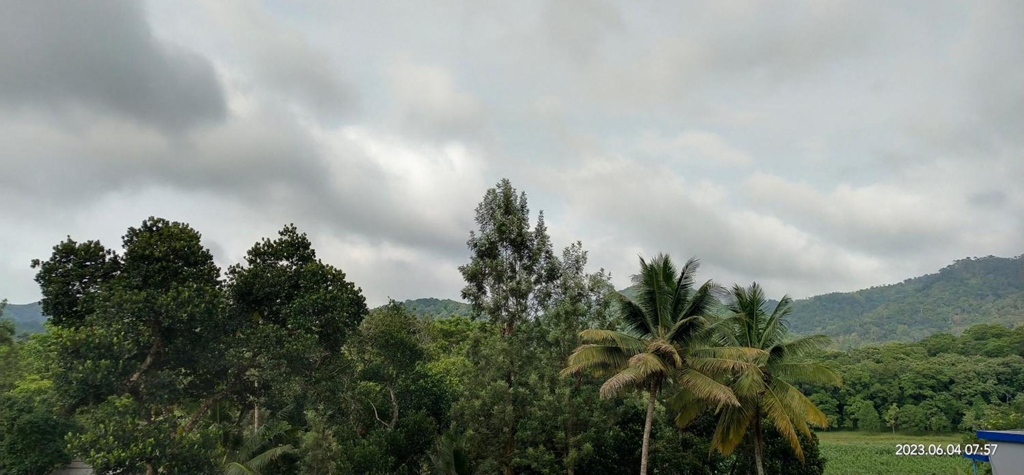 Floral Thekkady
